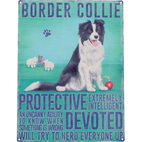 Plaque border collie