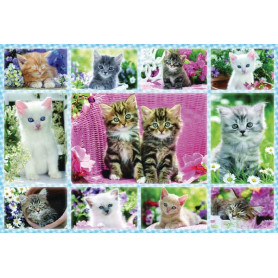 Puzzle Chatons