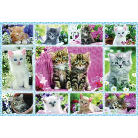 Puzzle Chatons