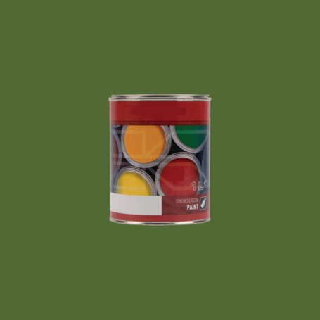 Peinture Pot  - 1 litre - Amazone vert 1L