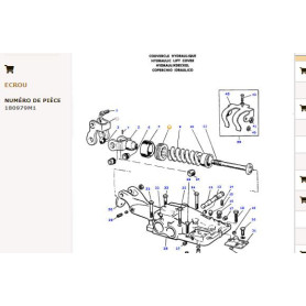 Ecrou - pour Massey Ferguson - Adaptable - Ref origine : 180979M2