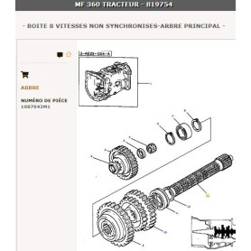 Arbre principal - pour Massey Ferguson - Adaptable - Ref origine : 1687643M1
