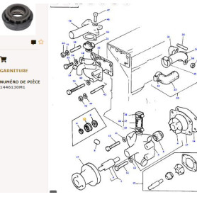 Joint De Pompe à eau - pour Massey Ferguson - Adaptable - Ref origine : 1446130M1