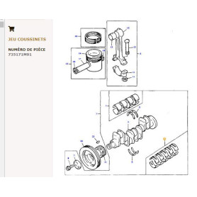 Kit de roulements principaux - pour Massey Ferguson - Adaptable - Ref origine : 735171M941
