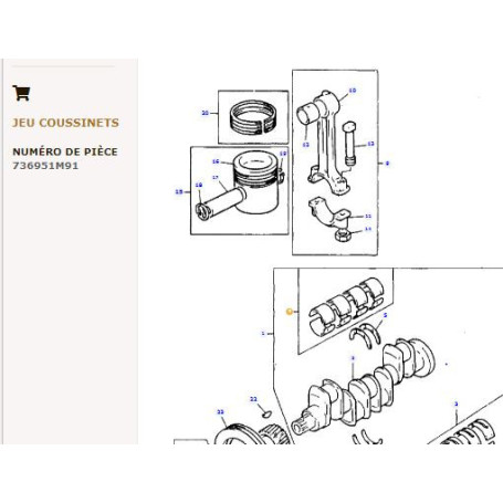 Jeu De Paliers De Bielle -0.010 " - pour Massey Ferguson - Adaptable - Ref origine : 736951M91