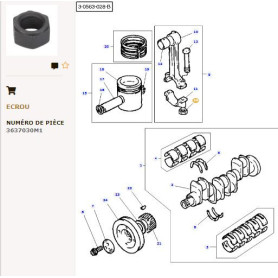 Écrou de bielle - pour Massey Ferguson - Adaptable - Ref origine : 3637030M1