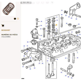 Ressort De Soupape (x8) - pour Massey Ferguson - Adaptable - Ref origine : 731154M1