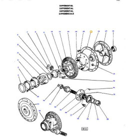 Joint - Landini, Massey Ferguson - Ref: 183254M1GP