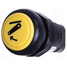 Interrupteur poussoir