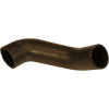 Durite Inferieure - Massey Ferguson - Ref: VPE4301