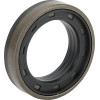 Joint - Massey Ferguson, McCormick - Ref: 3765528M1N