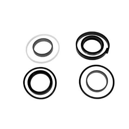 Kit de joint de vérin de direction - pour Massey Ferguson