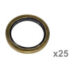 Joint Colle (x25) 1/2 '' BSP - Landini, Massey Ferguson - Ref: VFE3004