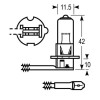 Blister Lampe H3 12V 100W 12V 100W