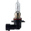 Ampoule HB3 - 12V-65W - P20d