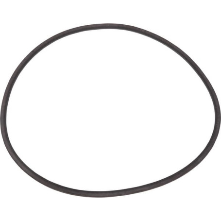 Oil seal