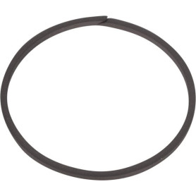 Sealing ring