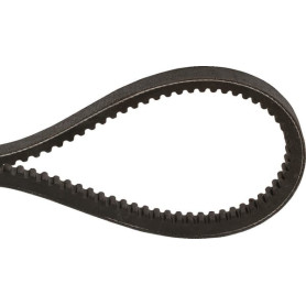 Courroie trapézoïdale dentée BX51 17x1340 Optibelt
