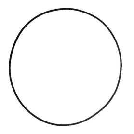 O-ring