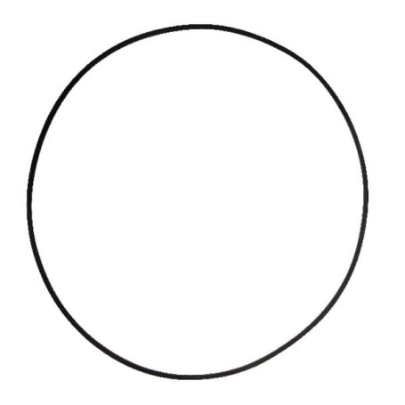 O-ring