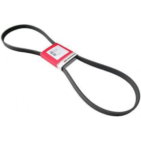 Courroie de ventilateur