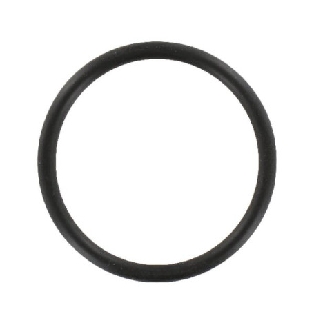 O-ring