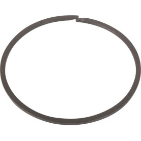 Segment ring