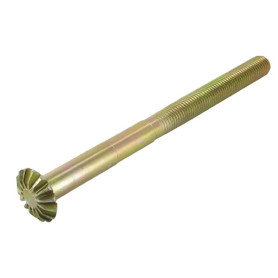Axe de réglage + Pignon