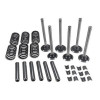 Kit de soupape - Landini, Massey Ferguson - Ref: VPA6004