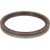 Joint B1BAVISLRSX7 114x135x13 FKM - FIAT - SOMECA, FORD, New Holland - Ref: 504127327N