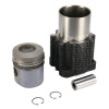 Kit de vérins Deutz - Deutz-Fahr - Ref: 02925624
