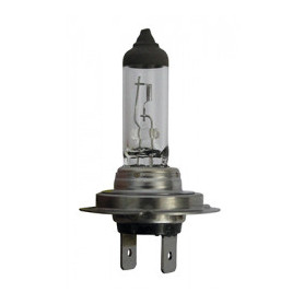 AMPOULE H7 12V 55W