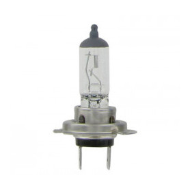 AMPOULE H7 12V 55W - Ref: 725093