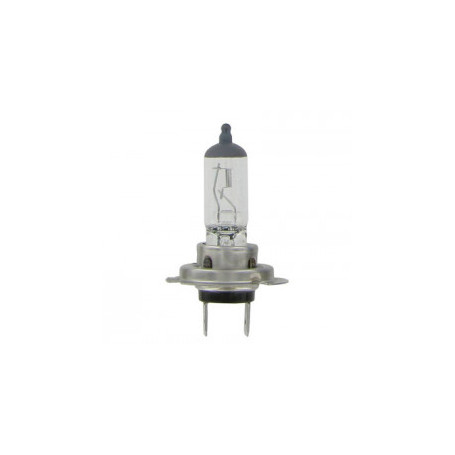 AMPOULE H7 12V 55W