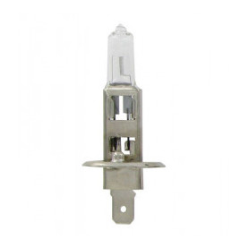 AMPOULE H1 12V 55W