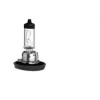 AMPOULE H11 24V 70W - Ref: 725178