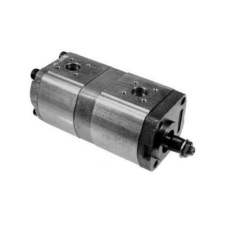 Pompe hydraulique tandem