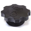 Capsule - Landini, McCormick - Ref: 4142X098