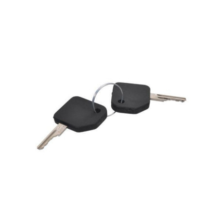 Clé de contact (2 pcs)