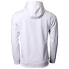 Hoodie (Fendt Natural Line)