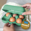 Eggbox to Go (Fendt Natural Line Collection)