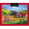 SET DE 2 PUZZLES DE 36 PIÈCES POUR ENFANT