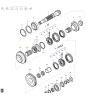 MANCHON MASSEY  V30385510