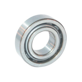 Roulement à rouleaux cylindriques 40x68x15mm SKF - Ref: NU1008ML