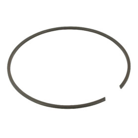 Circlip pour boîtier - Ref: BR125