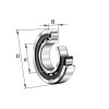 Roulement à rouleaux cylindriques 45x100x25mm INA/FAG - Ref: NU309ETVP2