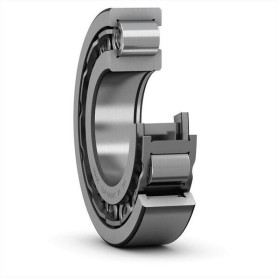 Roulement à rouleaux cylindriques 45x100x25mm SKF - Ref: NUP309ECJC3