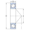 Roulement à billes à contact oblique 35x72x17mm SKF - Ref: 75007207BEP