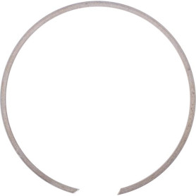 Circlip pour boîtier - Ref: BR70