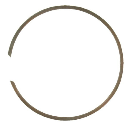 Circlip pour boîtier - Ref: BR62